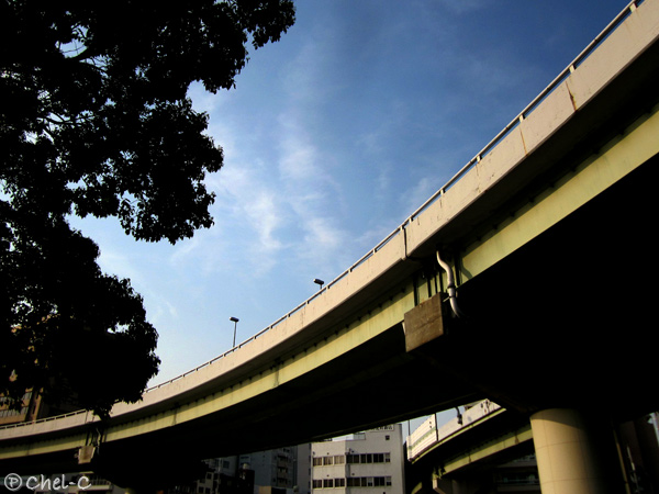 a0154706_22302246.jpg
