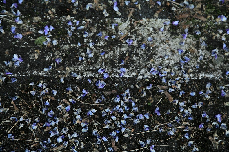 b0128609_13464325.jpg