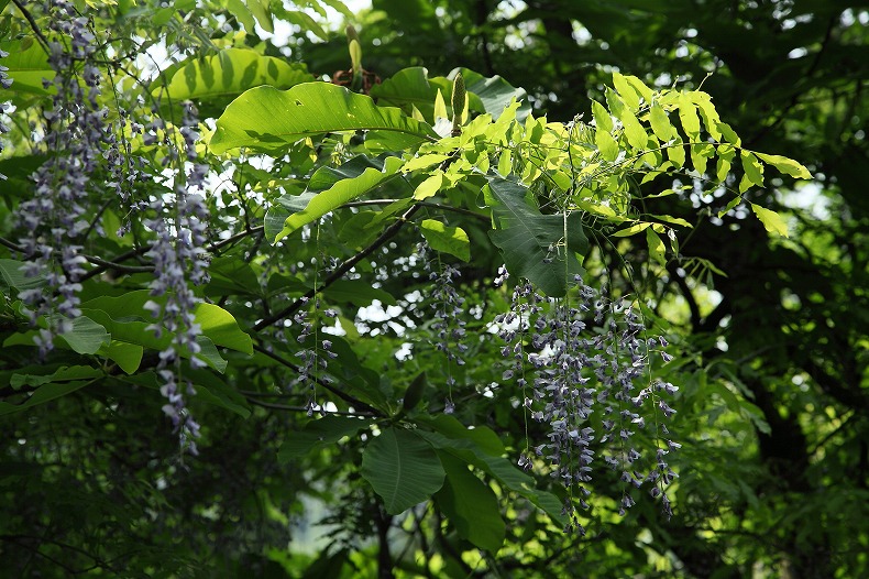 b0128609_13472820.jpg