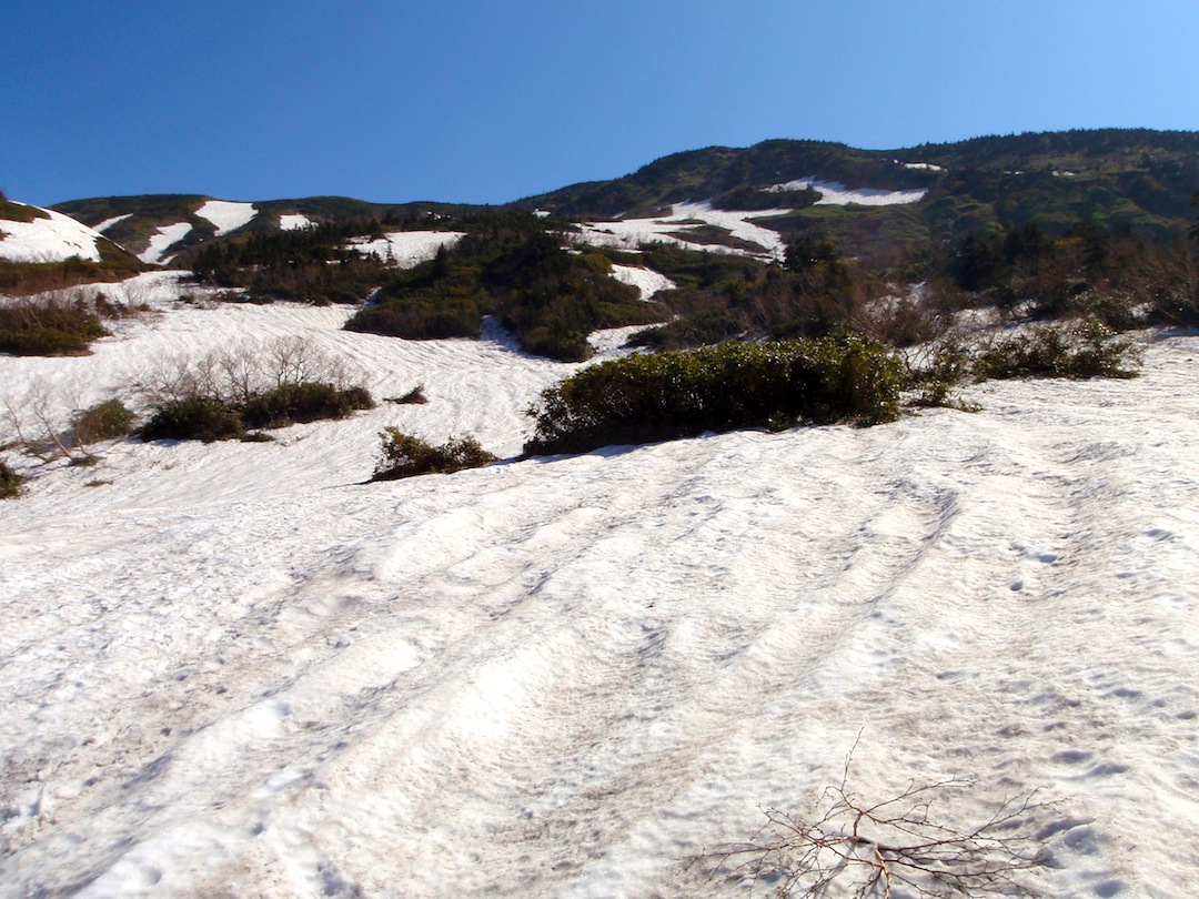 c0078410_22503447.jpg