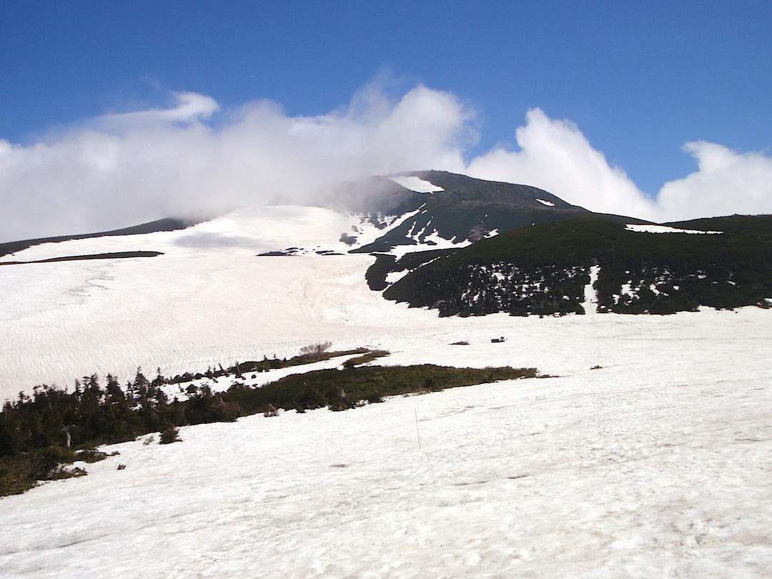 c0078410_22553534.jpg