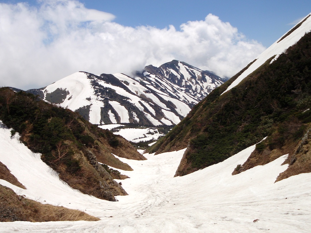 c0078410_23486.jpg
