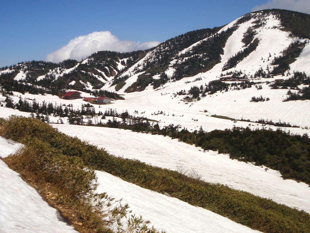 c0078410_2372719.jpg