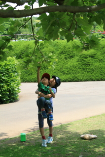 c0184213_735649.jpg