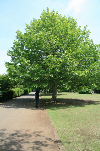 c0184213_7367.jpg