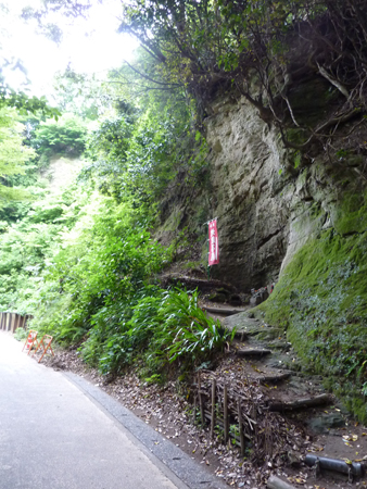 d0113613_141334.jpg