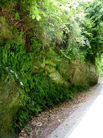 d0113613_1422469.jpg
