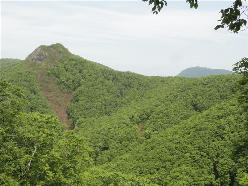 a0127015_20322098.jpg