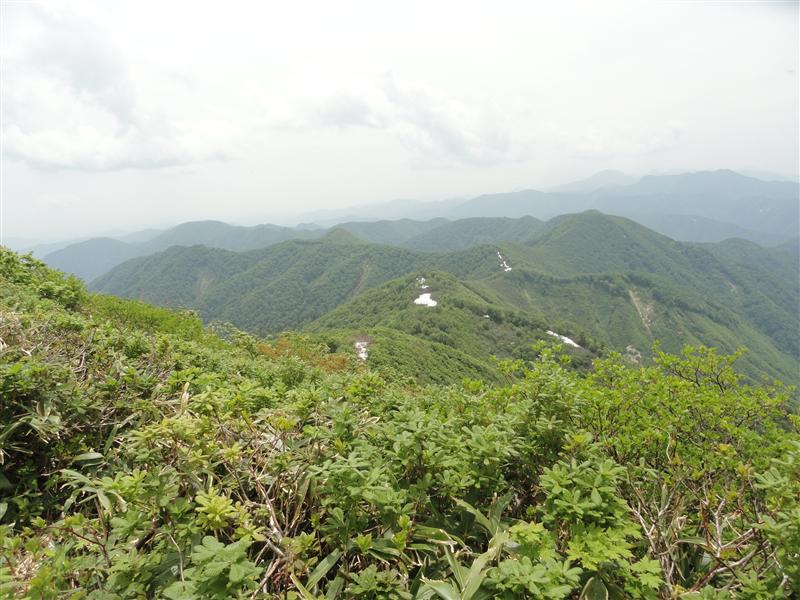 a0127015_2041205.jpg