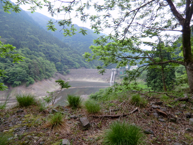 d0170615_73674.jpg