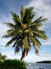 a0043520_20543314.jpg