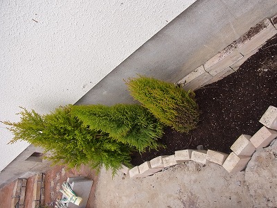 a0279020_1993124.jpg