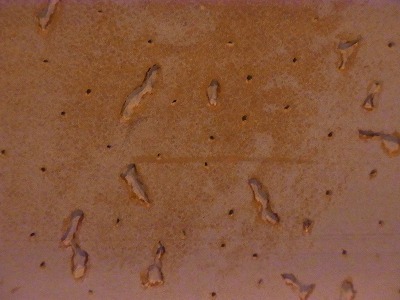 a0279020_20274644.jpg