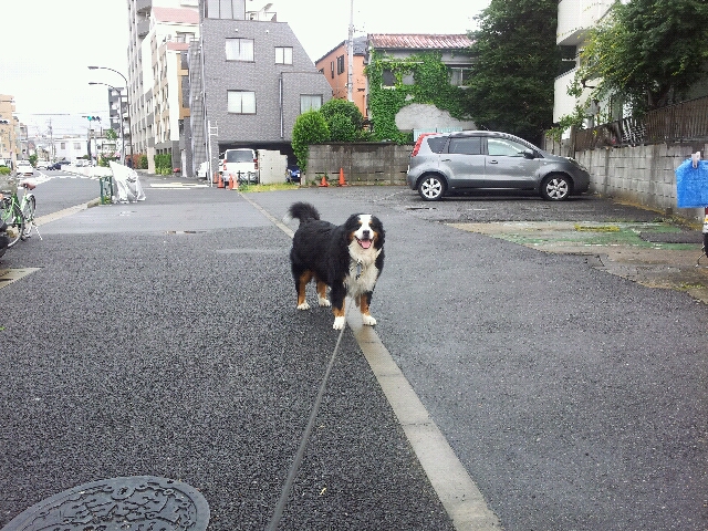 e0203322_21571037.jpg