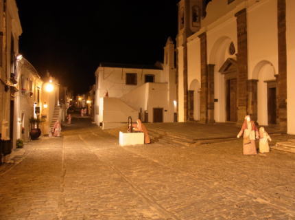c0025724_2054529.jpg