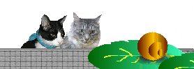 a0098027_22191178.gif