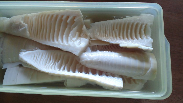 c0236632_7192220.jpg
