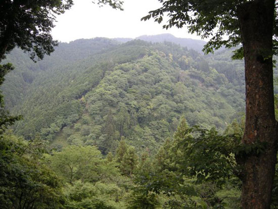 e0247832_016206.jpg