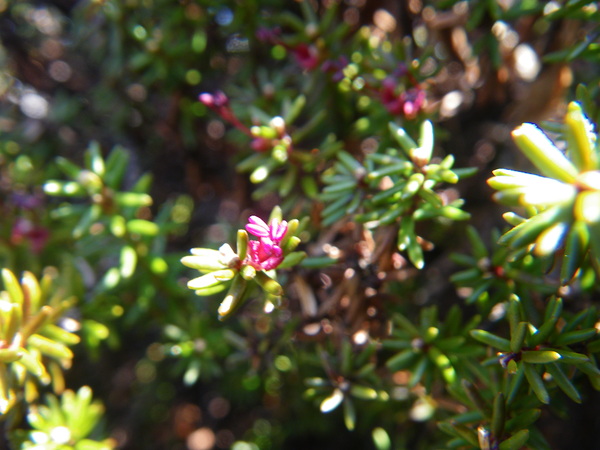 f0118332_22303159.jpg