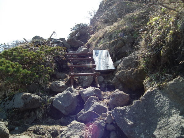 f0118332_2235140.jpg