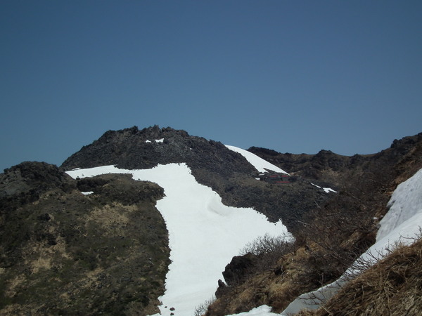 f0118332_223879.jpg