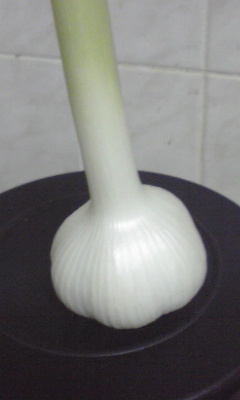 e0138634_893052.jpg
