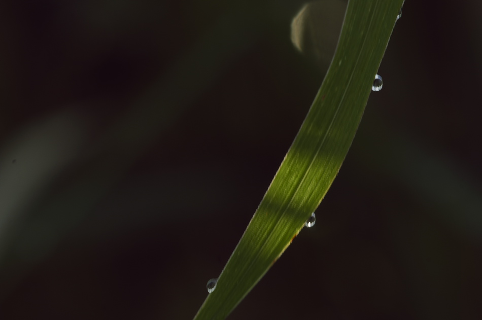 d0138737_16274965.jpg