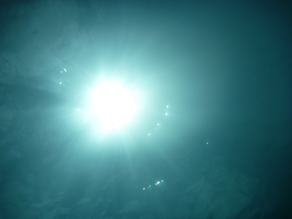 e0171737_1438733.jpg