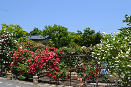 e0228938_9164042.jpg