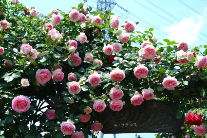 e0228938_9215747.jpg