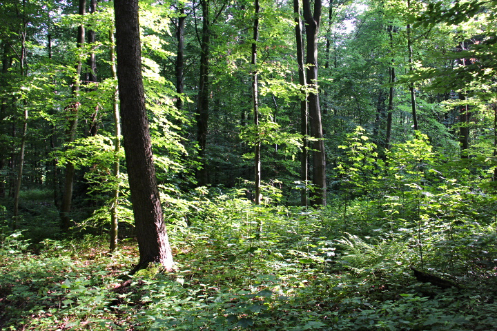 c0153740_3125059.jpg