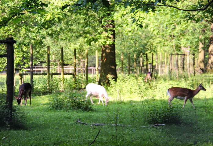 c0153740_3175790.jpg