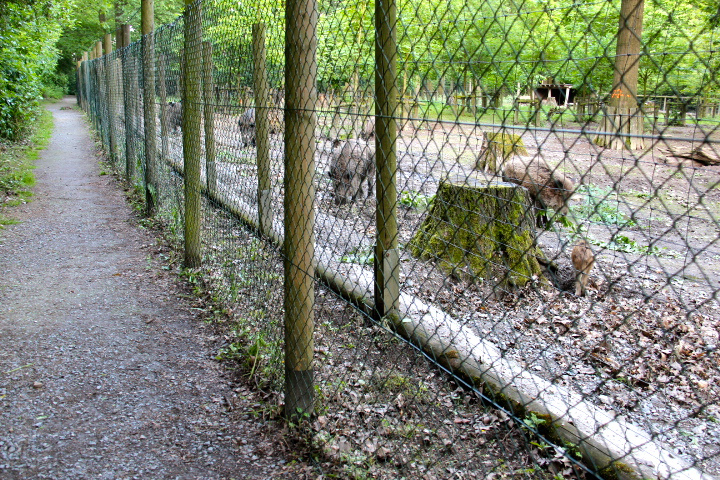 c0153740_318205.jpg