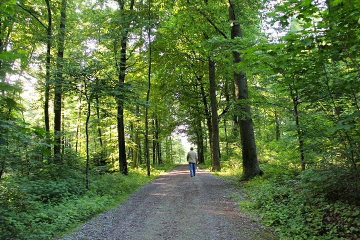 c0153740_3195689.jpg