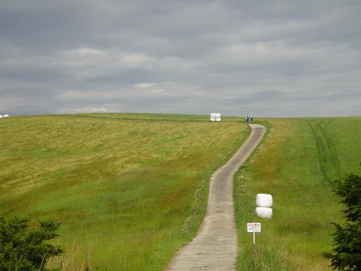 e0164643_21554410.jpg