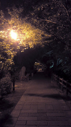 f0178153_21513744.jpg