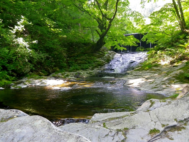 b0177355_21475150.jpg