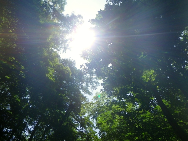 b0177355_21481715.jpg