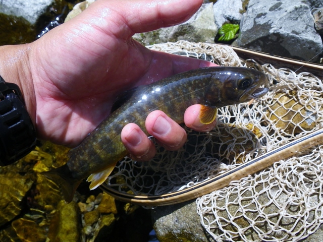 b0177355_21482251.jpg