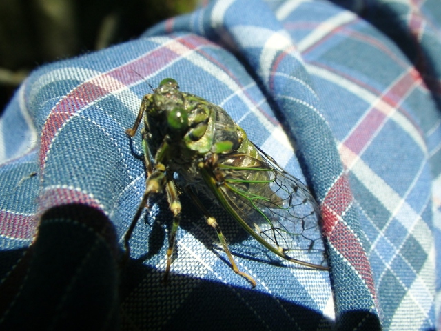 b0177355_2285069.jpg