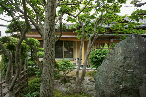 a0147057_0115326.jpg