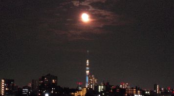 d0034659_23102015.jpg