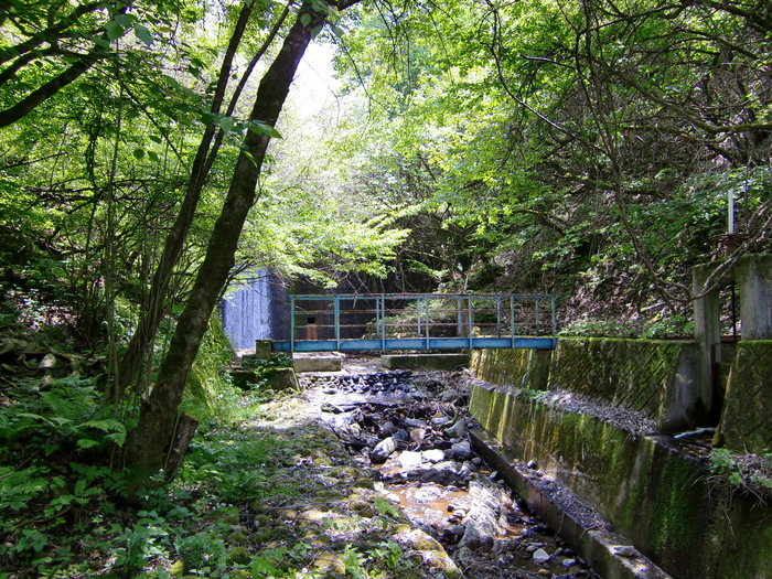 c0140260_11168.jpg