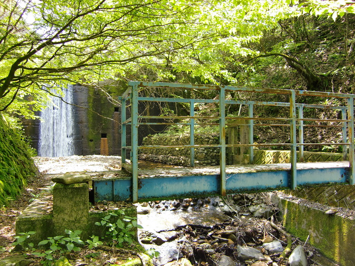 c0140260_112870.jpg