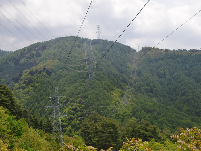 c0140260_114075.jpg