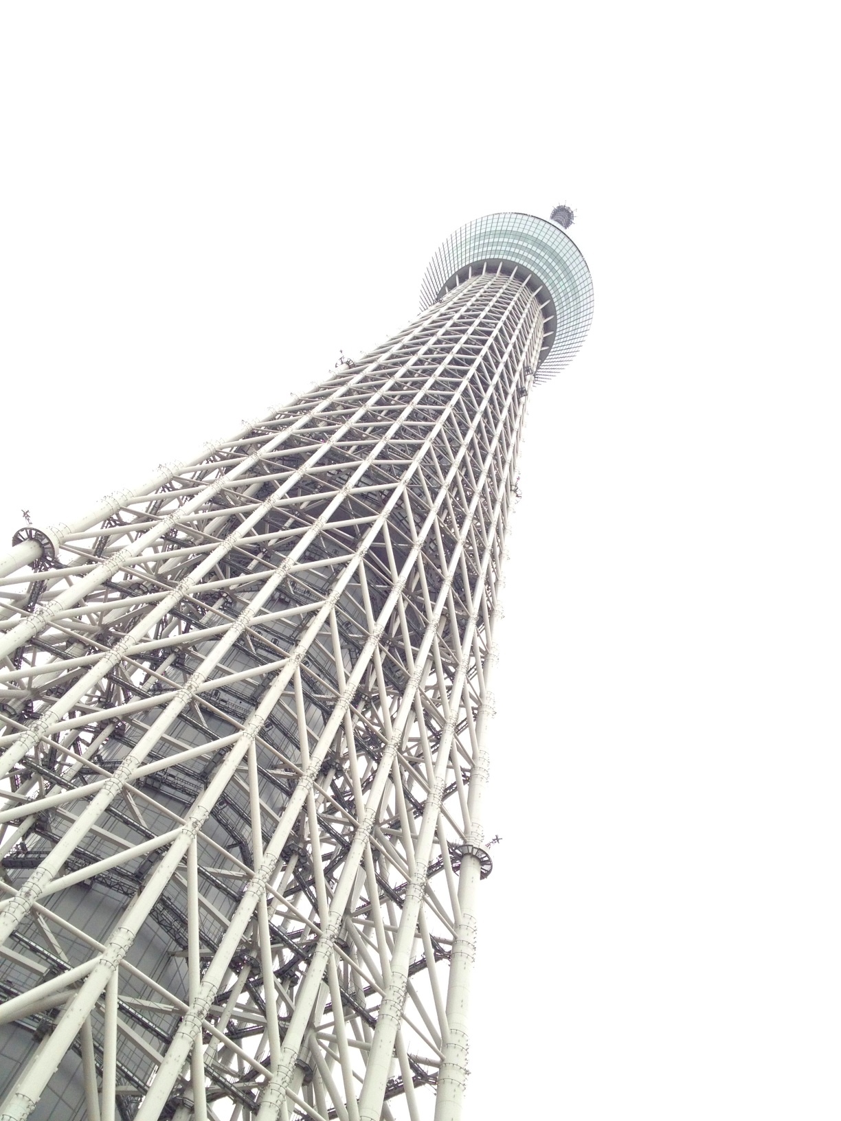 e0172160_0175659.jpg