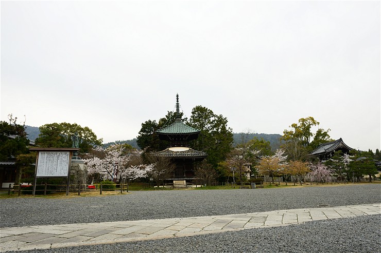 f0222161_10561330.jpg