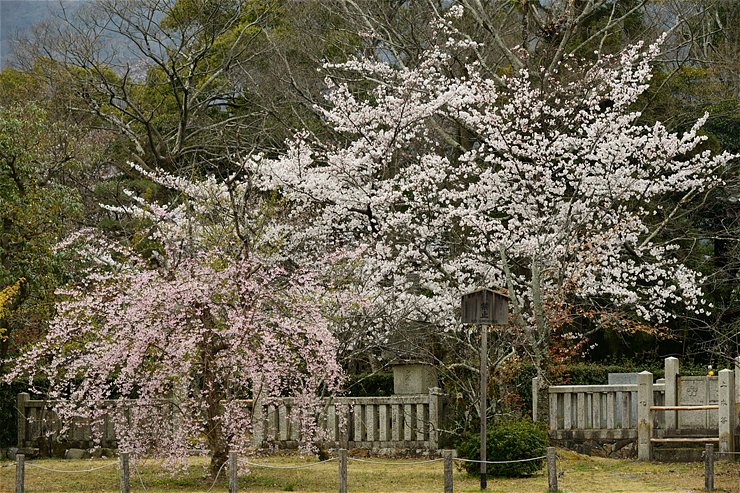 f0222161_105651.jpg