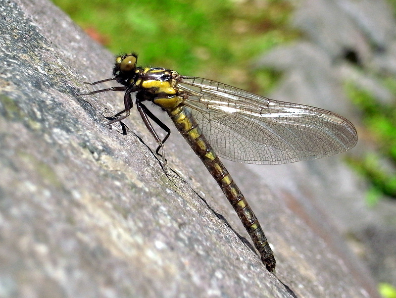 b0130166_22311336.jpg