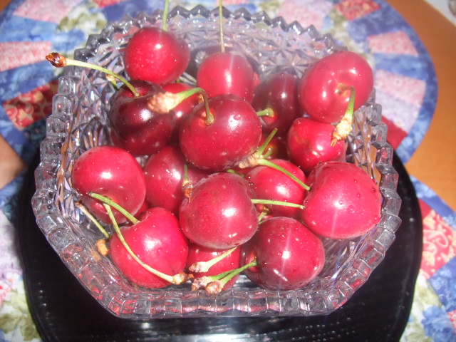 c0115366_613532.jpg